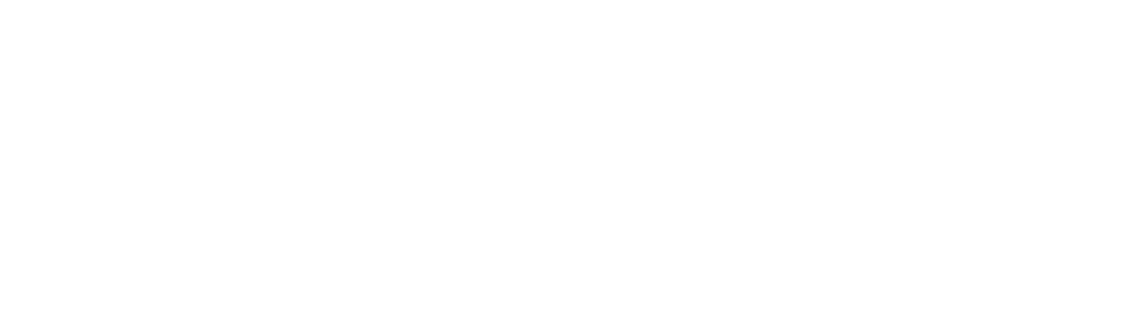 The Digital Projects Logo White